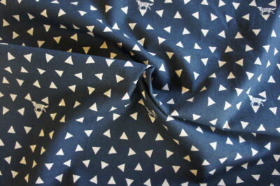 Echino III 2018 Triangle – Bild 2