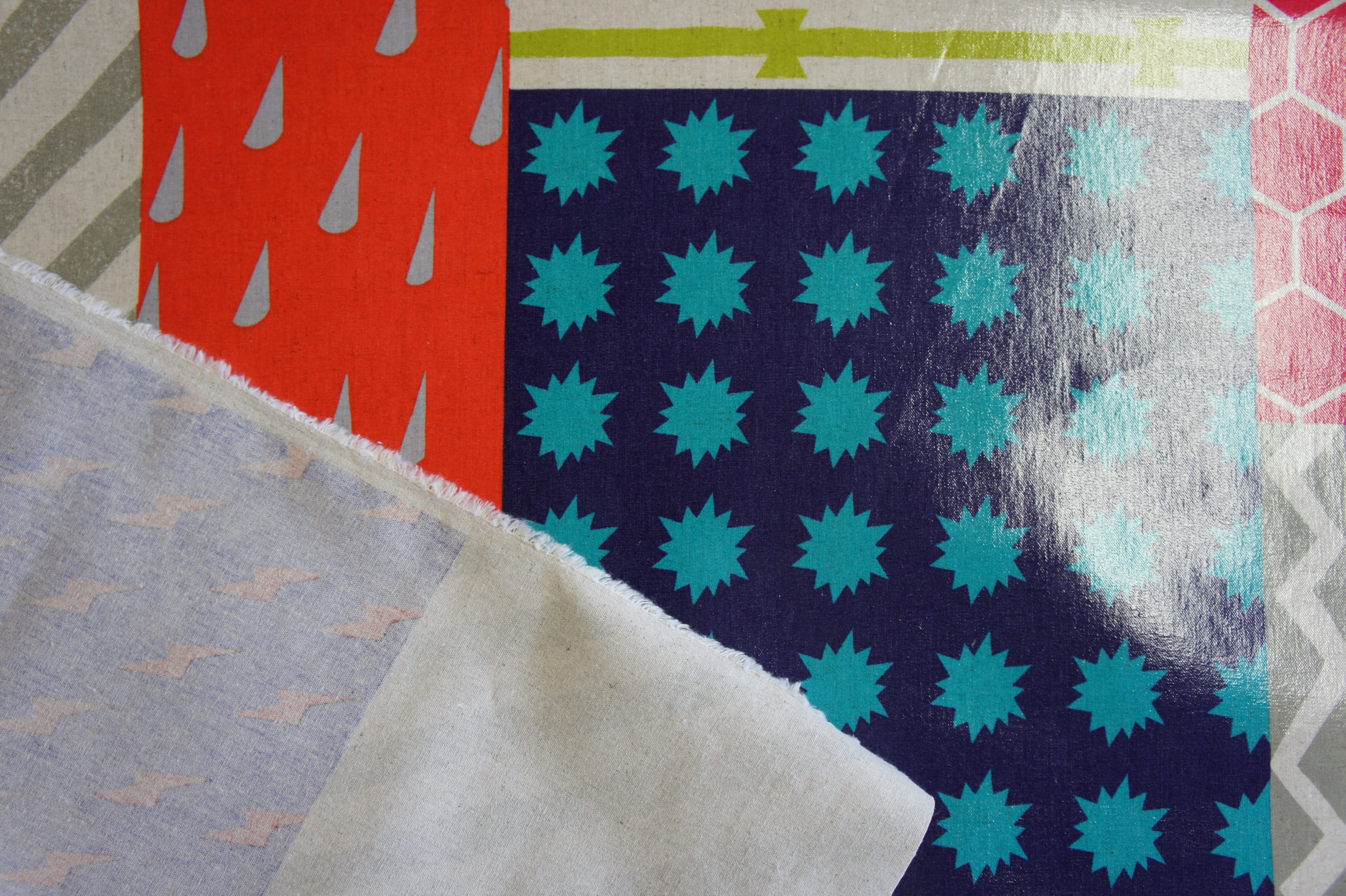 ECHINO, Canvas laminiert – Bild 2